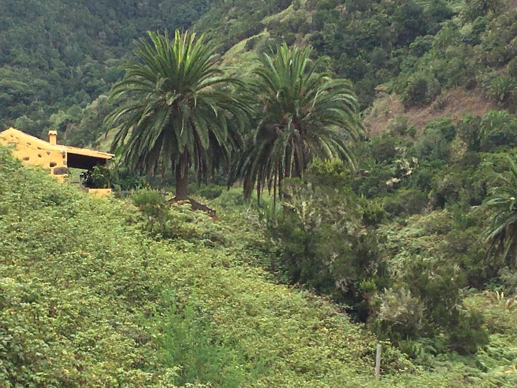 Casa Rural El Rincon De Antonia Agulo Exterior photo